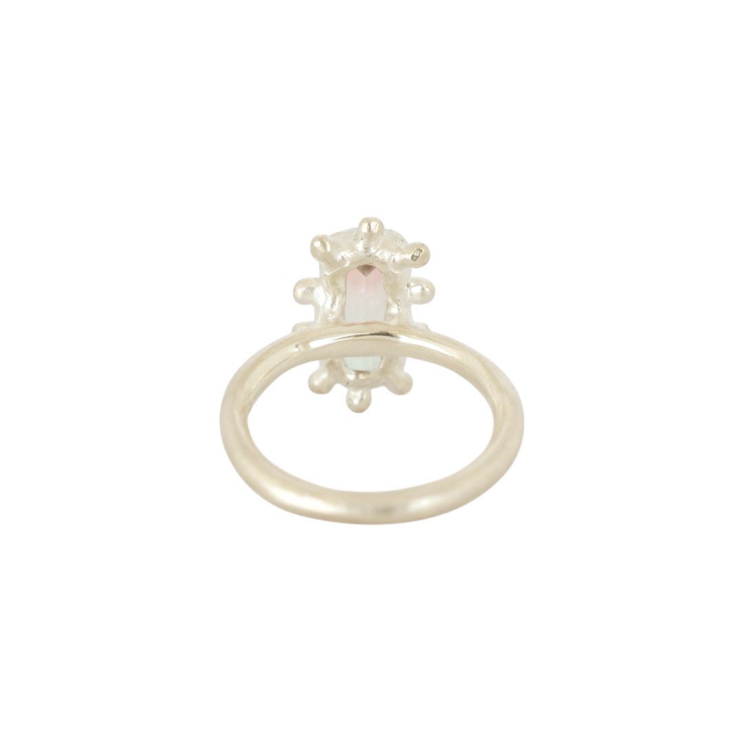 Hidden Spring Watermelon Tourmaline Ring