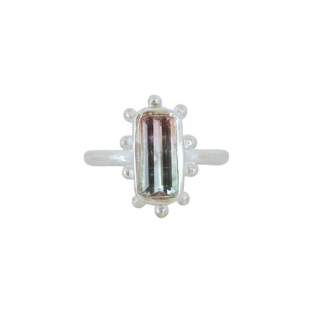 Hidden Spring Watermelon Tourmaline Ring